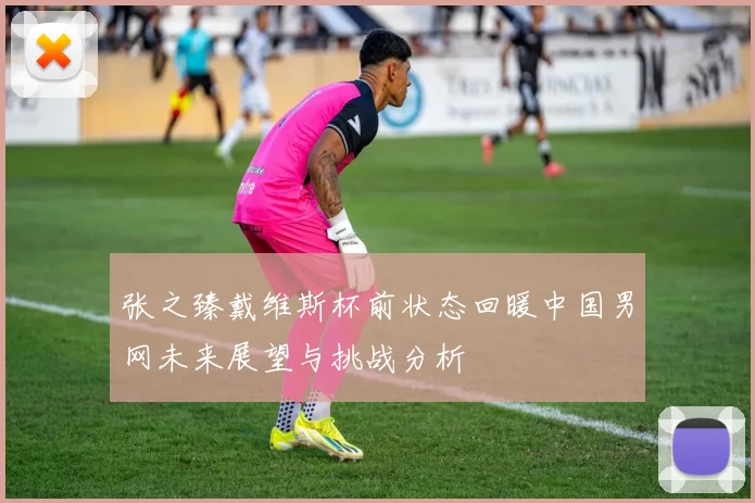 张之臻戴维斯杯前状态回暖中国男网未来展望与挑战分析